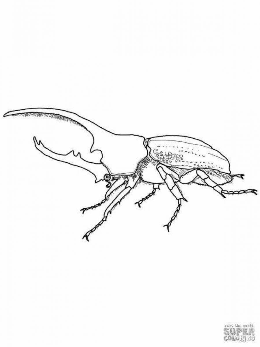 Жук носорог карандашом рисунок