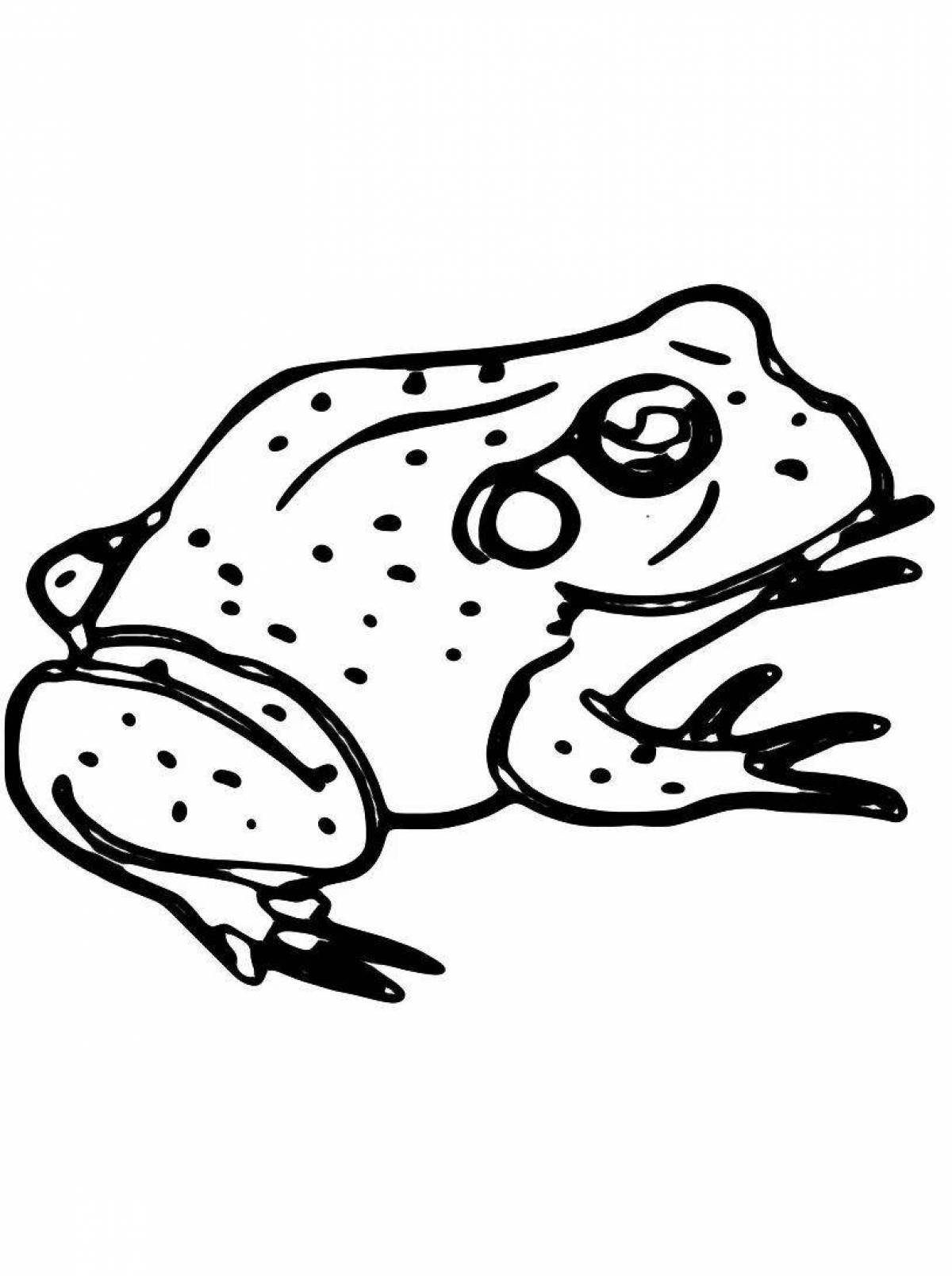 Сказка о жабе и Розе раскраска