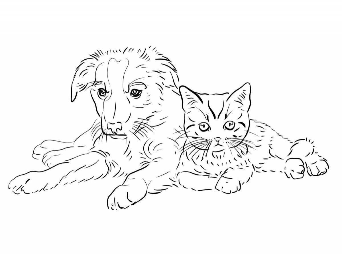 Собачка и котик раскраска
