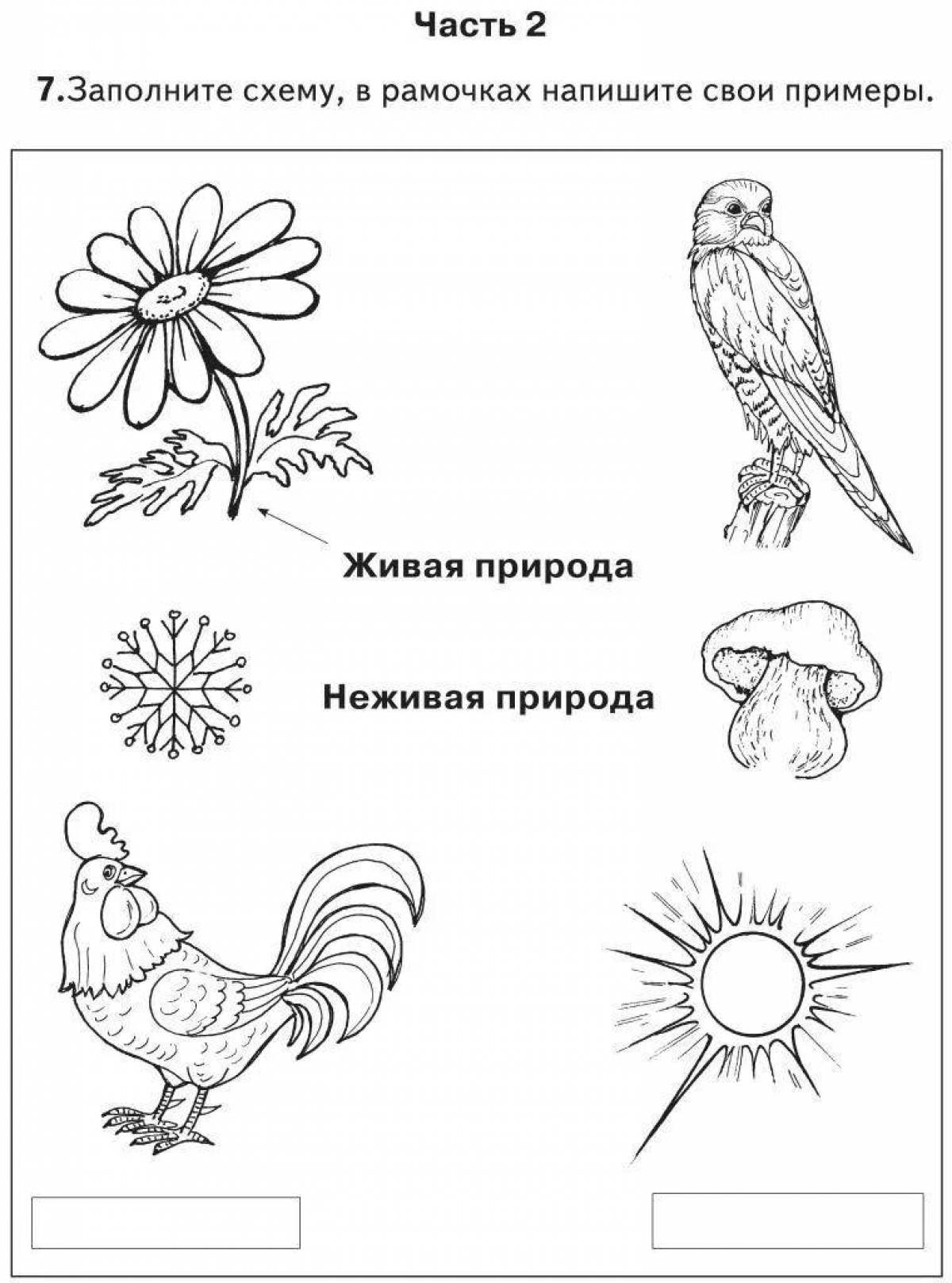 Окружающий мир 1 класс задания в картинках