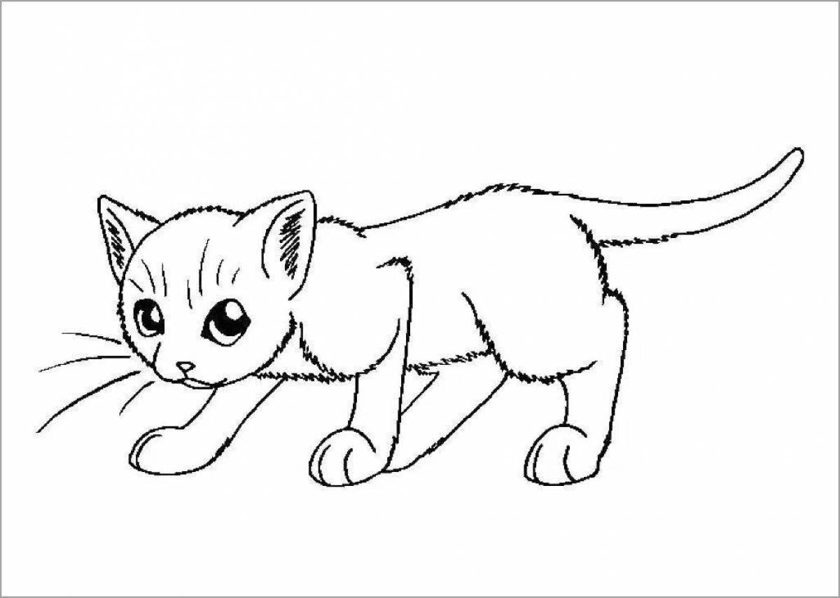Sparkling cat coloring book