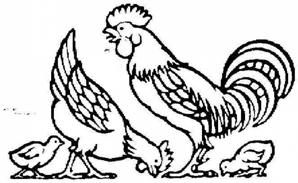 Coloring book cheerful rooster and hen