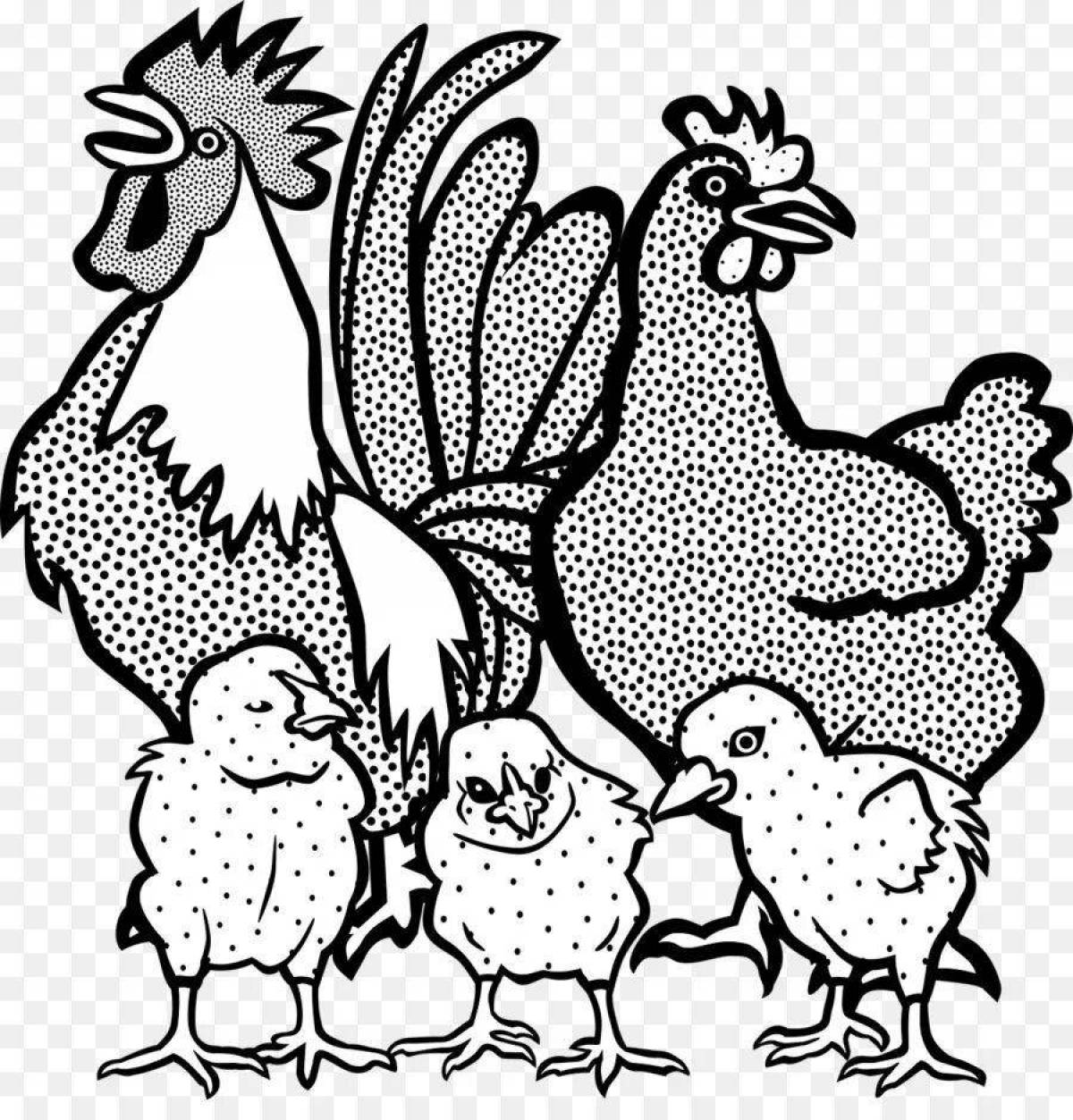 Coloring page joyful rooster and hen