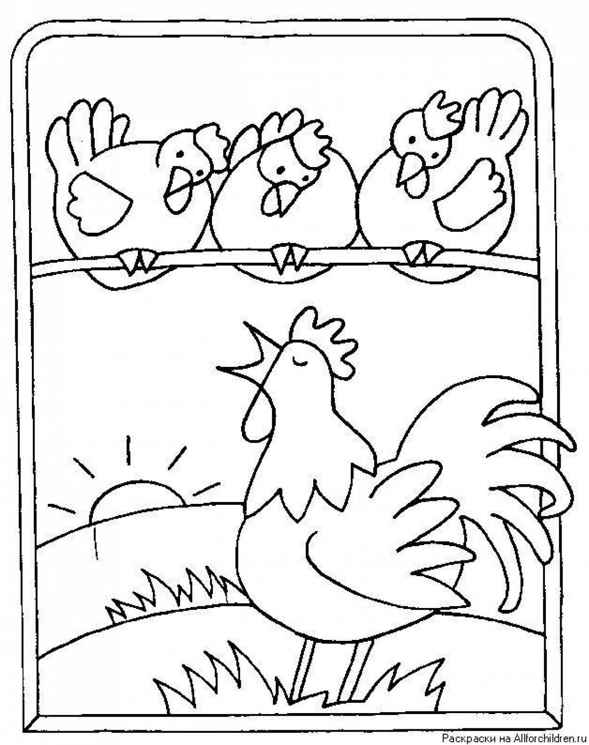 Coloring live rooster and hen