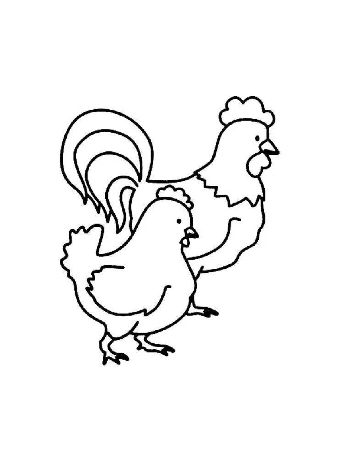 Coloring book shining rooster and hen
