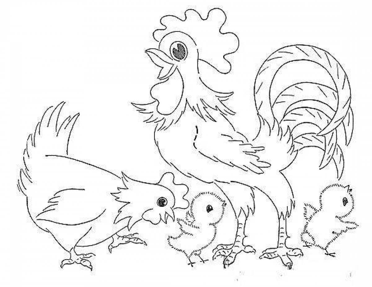 Coloring cute rooster and hen
