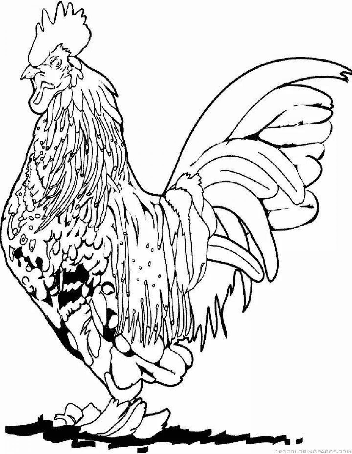 Coloring page delicious rooster and hen