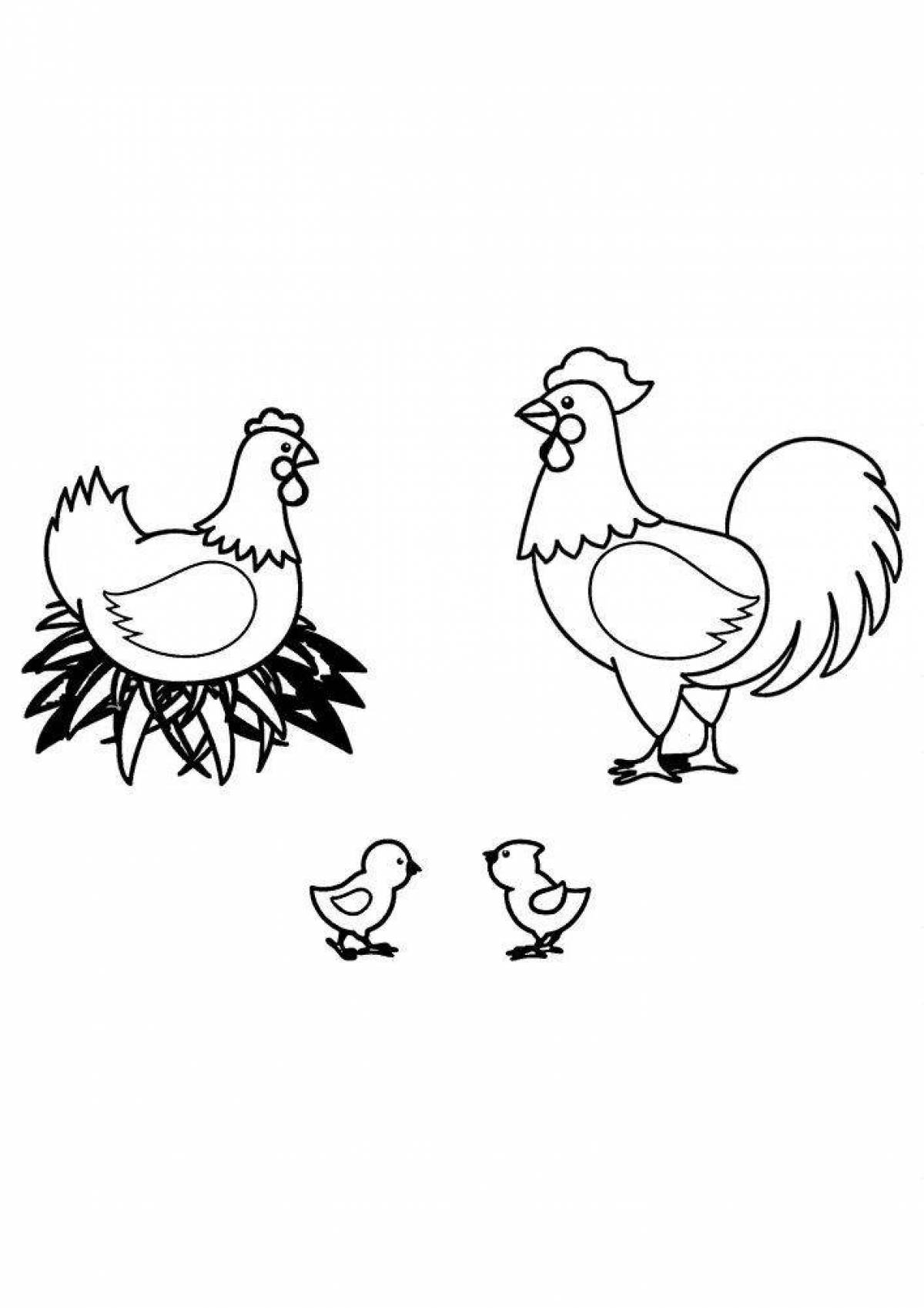 Coloring book humorous rooster and hen