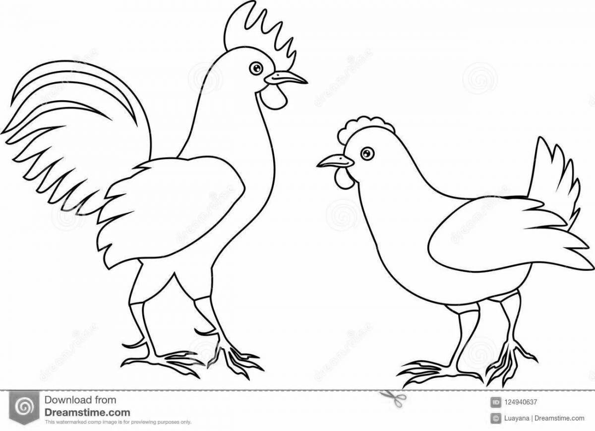 Zani rooster and hen coloring book
