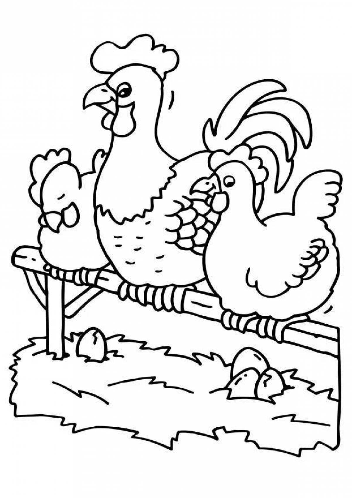 Amusing coloring rooster and hen