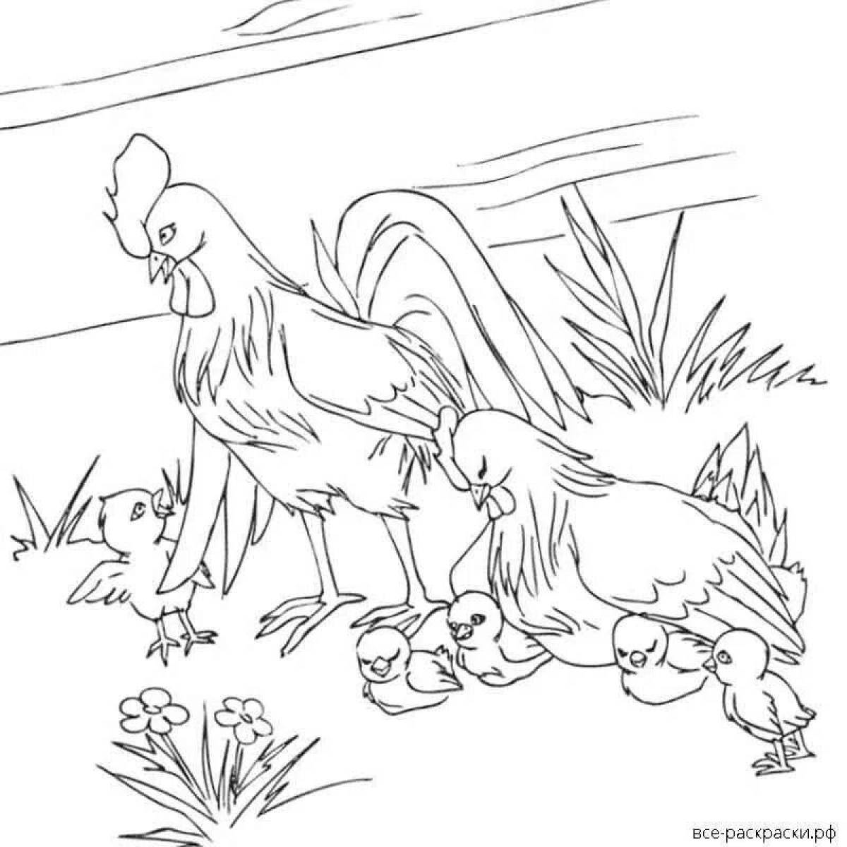 Петух и курица рисунок