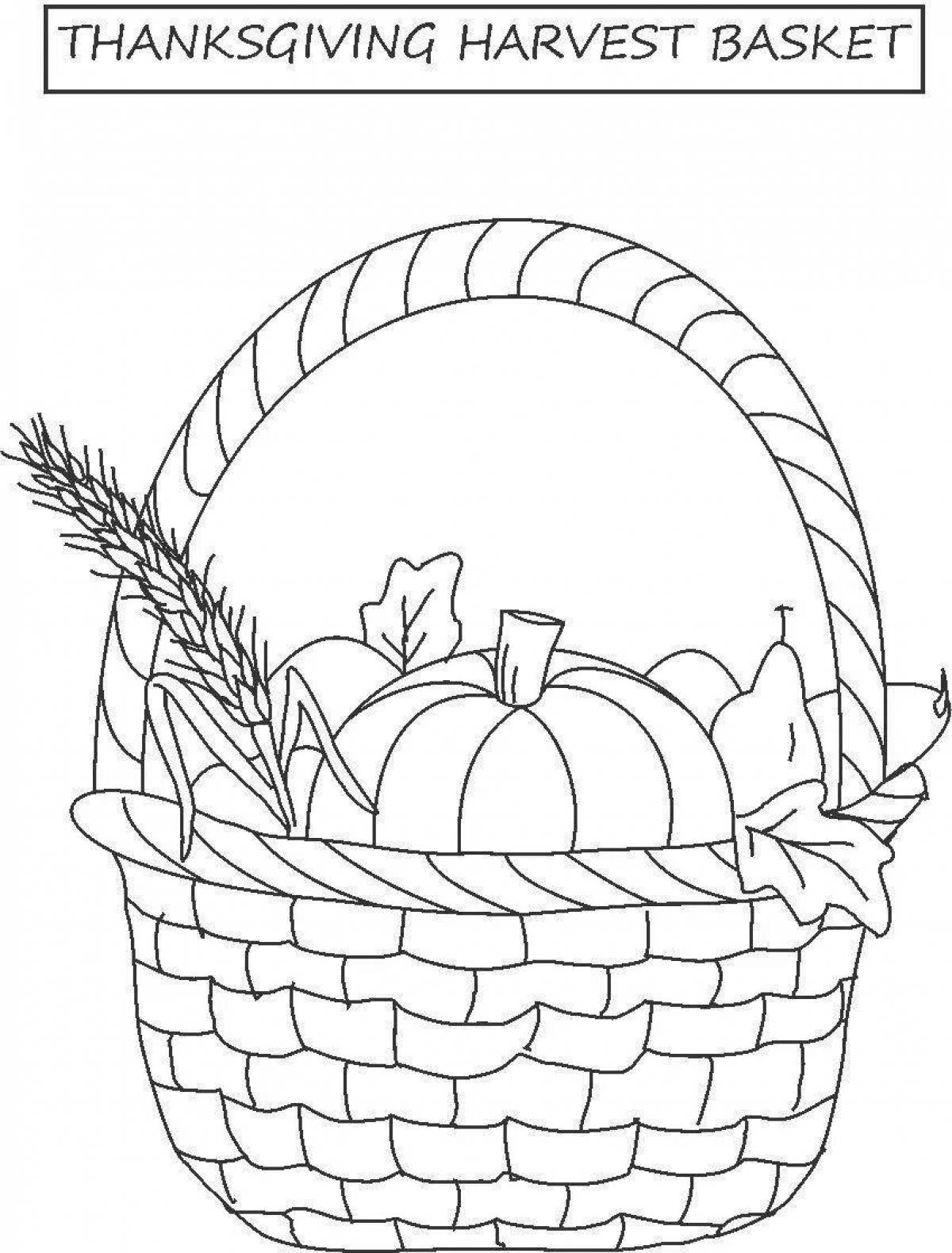 Vegetable basket #14