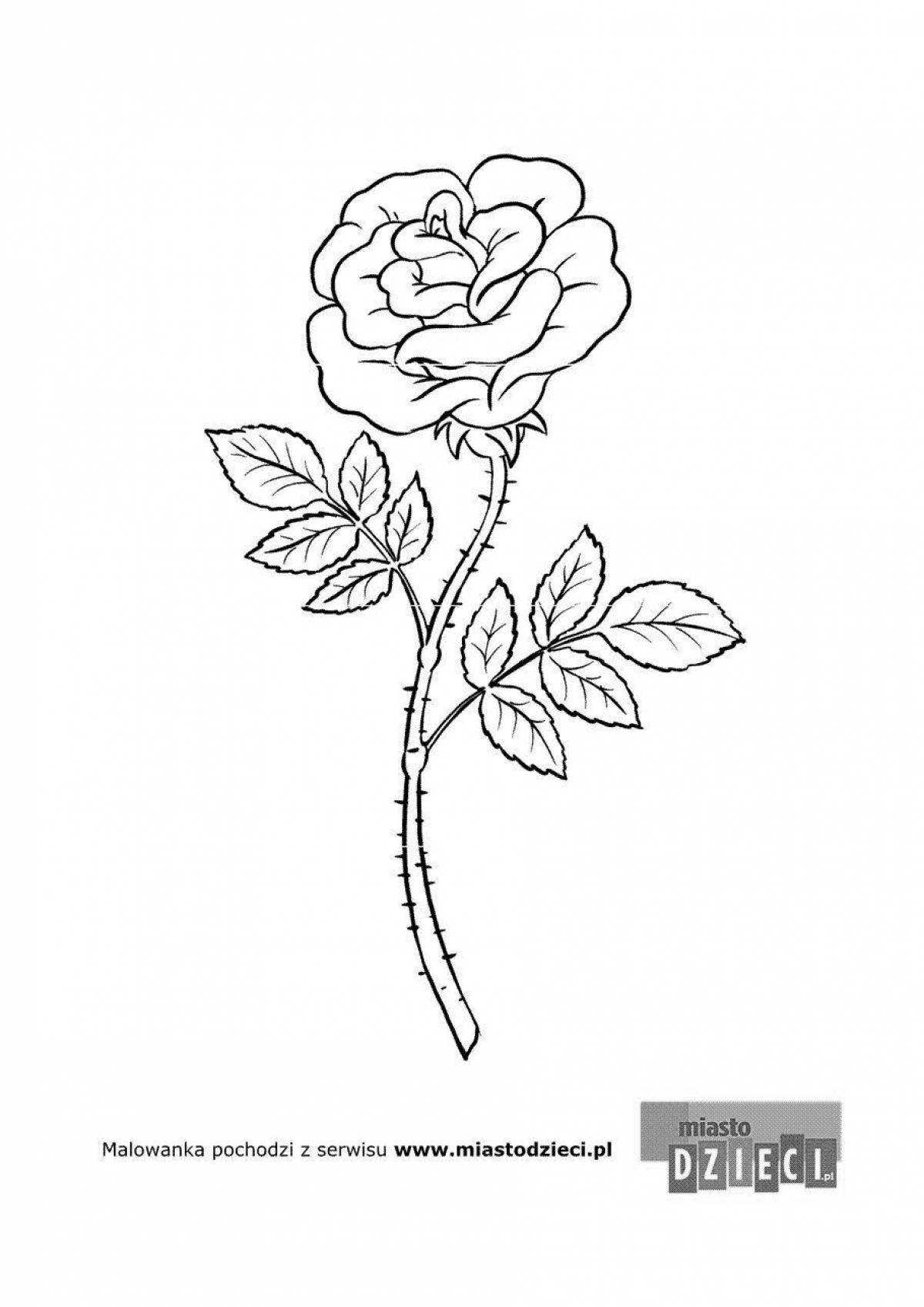 Colorful toad and rose coloring page