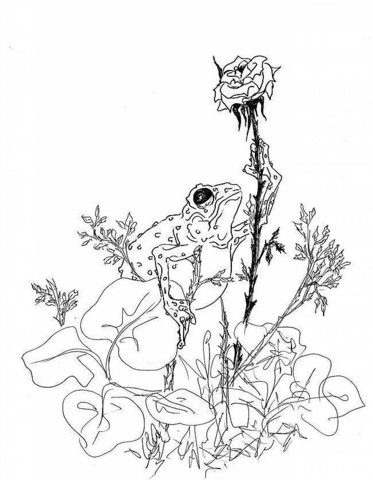 Раскраска очаровательная жаба и роза