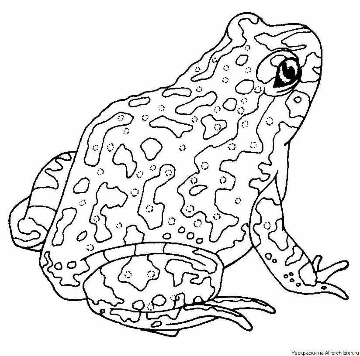 Coloring book bright toad and rose