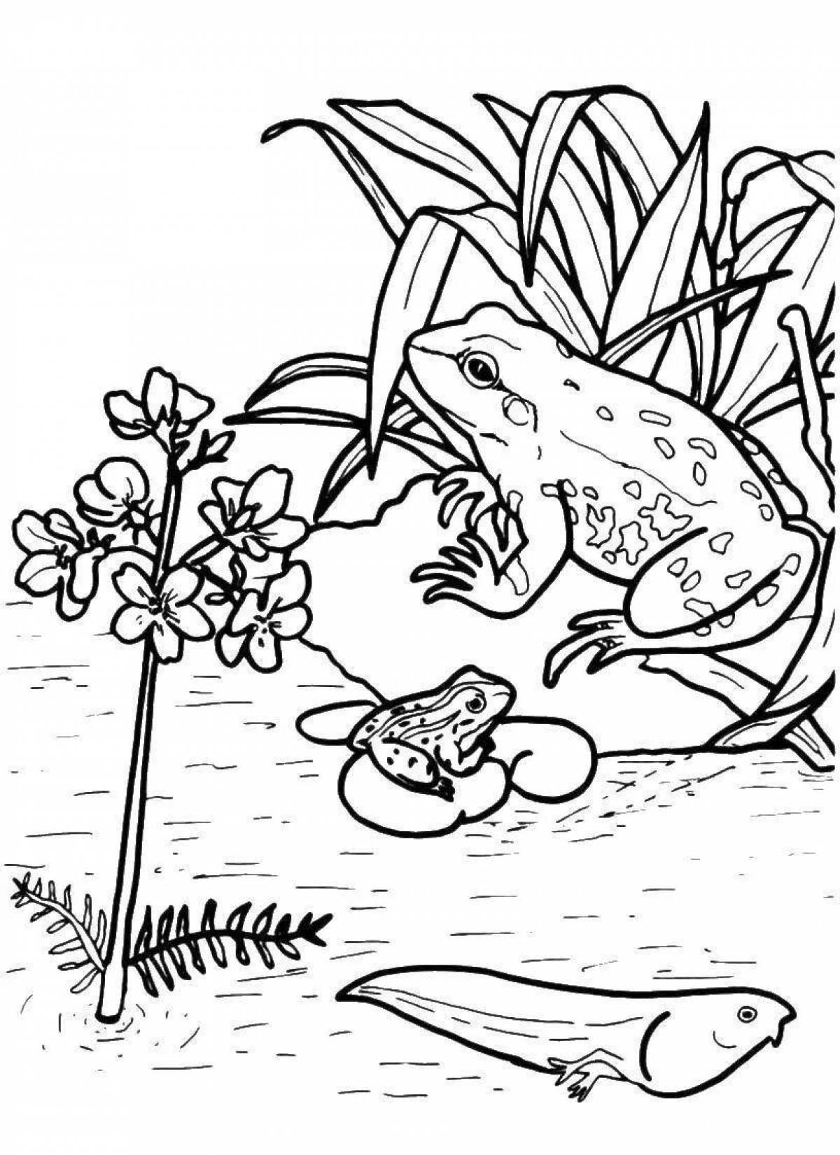 Coloring exotic toad and rose