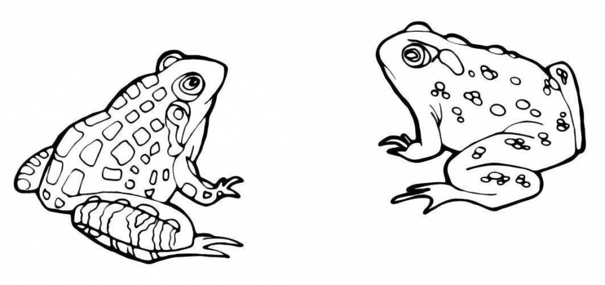 Coloring page dazzling toad and rose