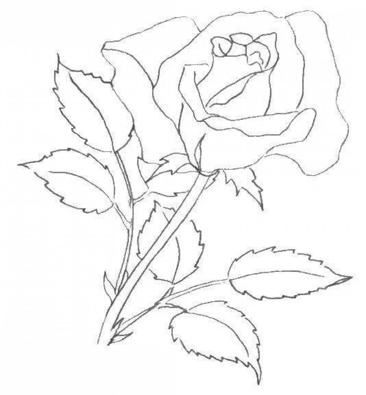 Colorific toad and rose coloring page