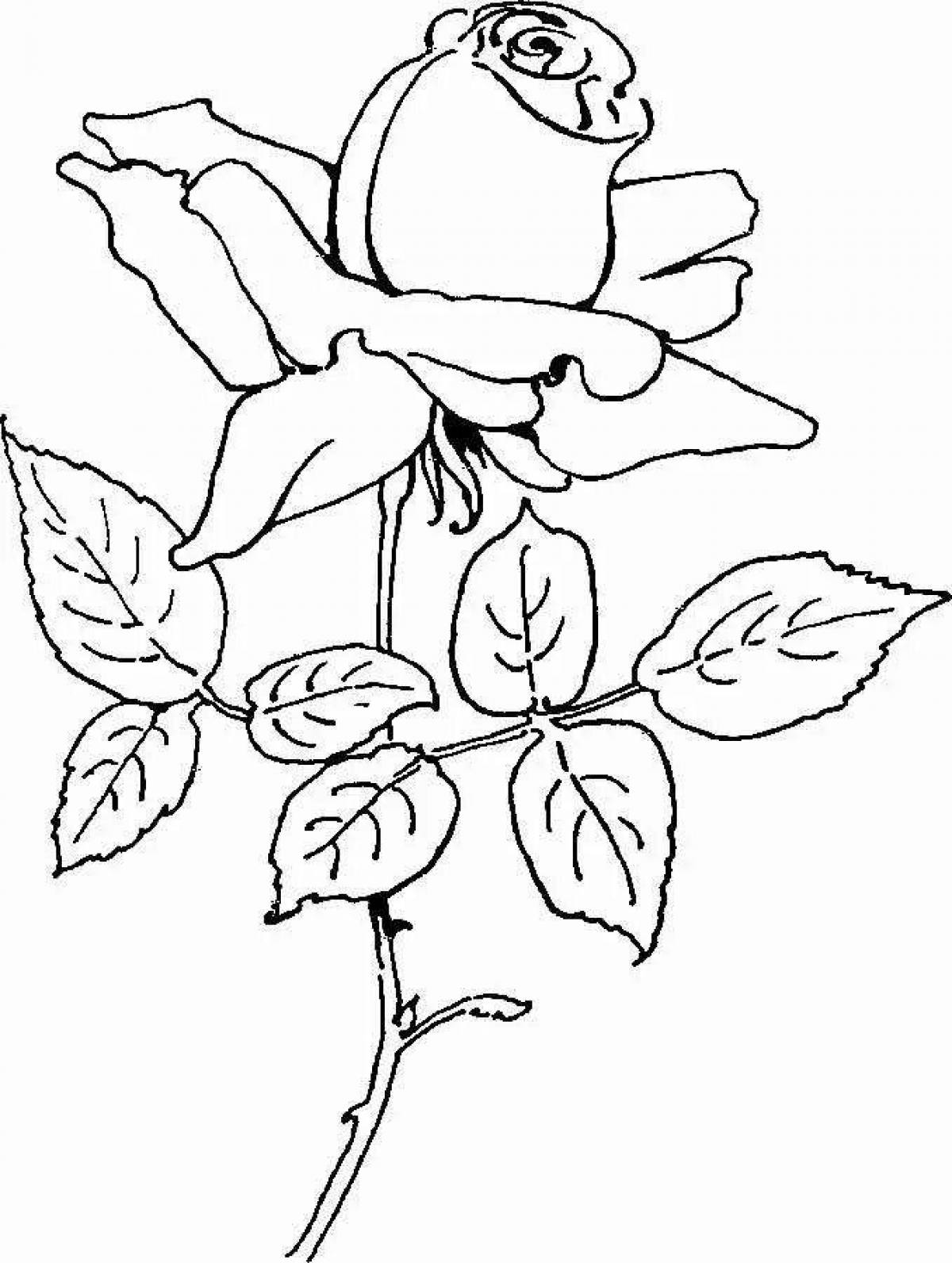 Colorable toad and rose coloring book
