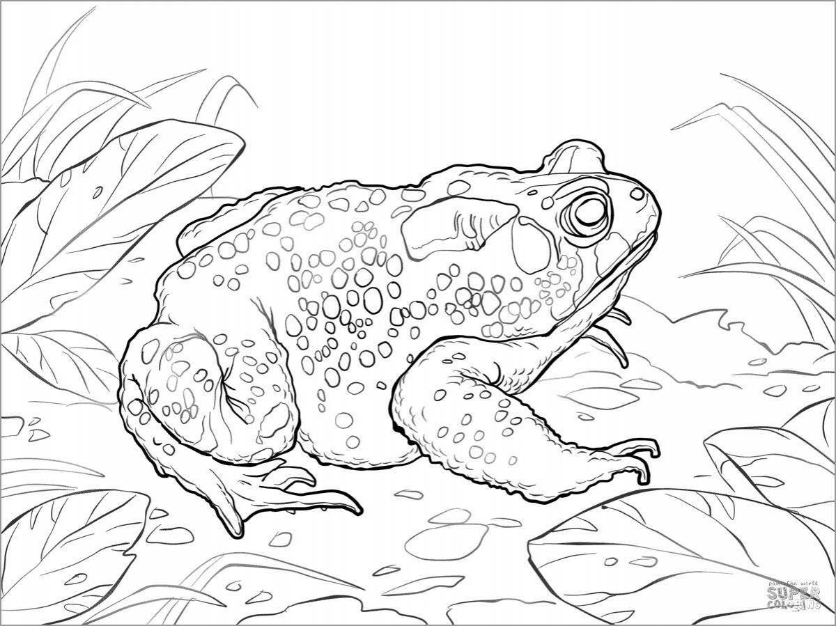 Colored toad and rose coloring page