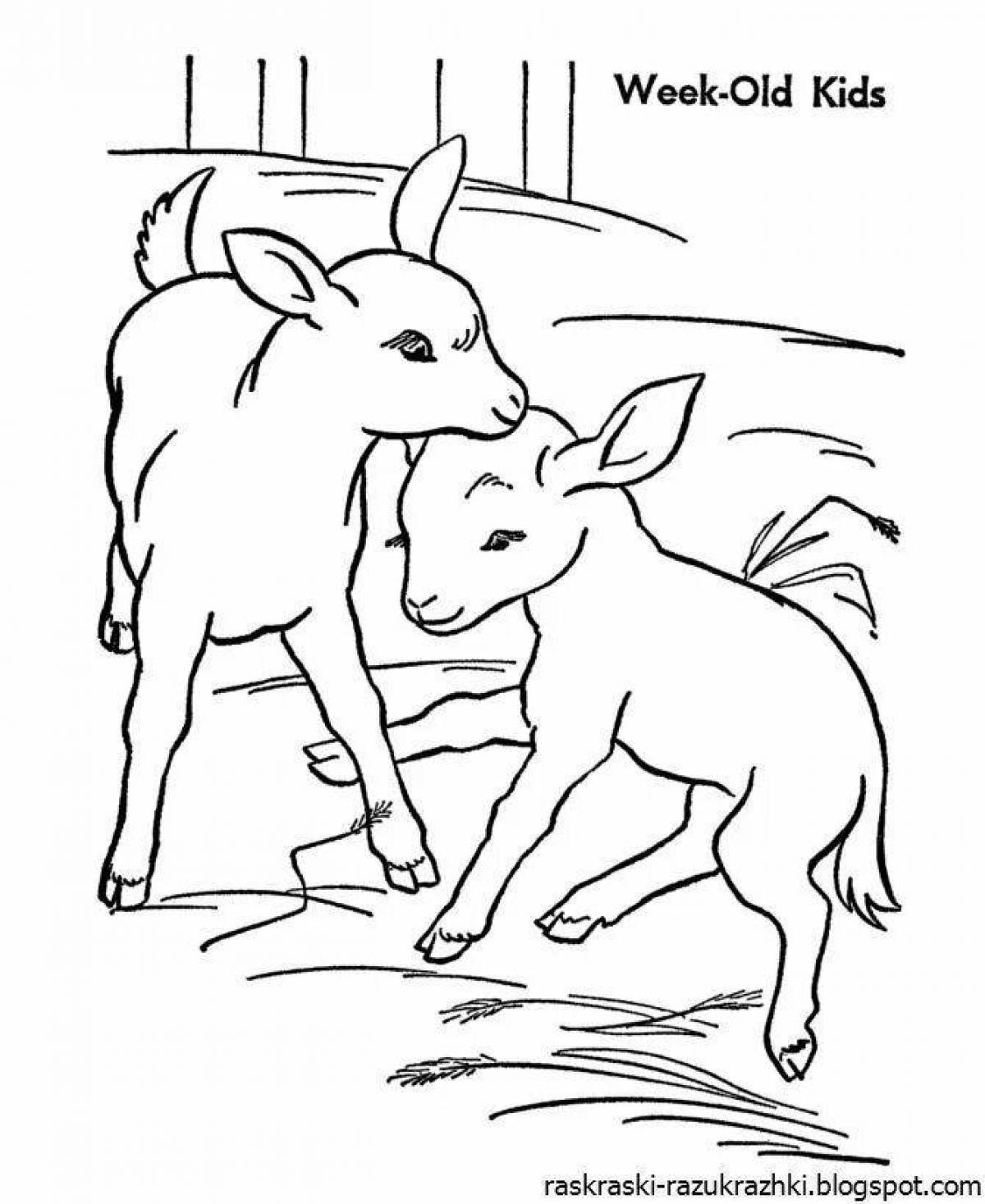 Фото Раскраска игривая коза для детей