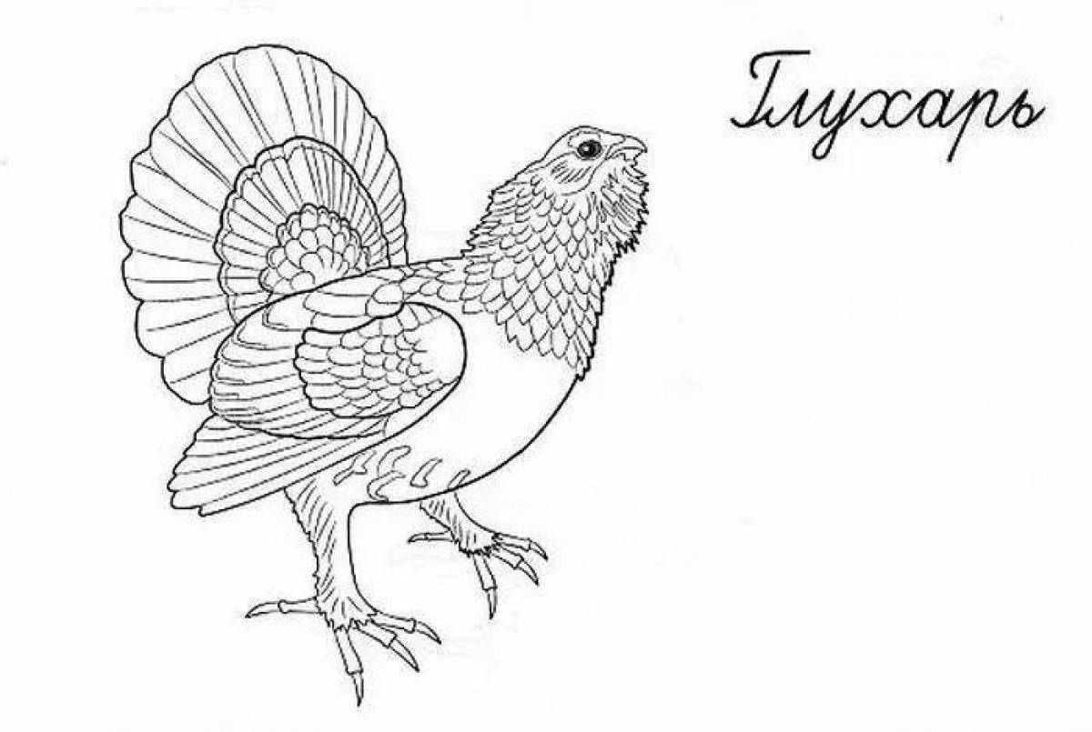 Colorful capercaillie coloring page for kids