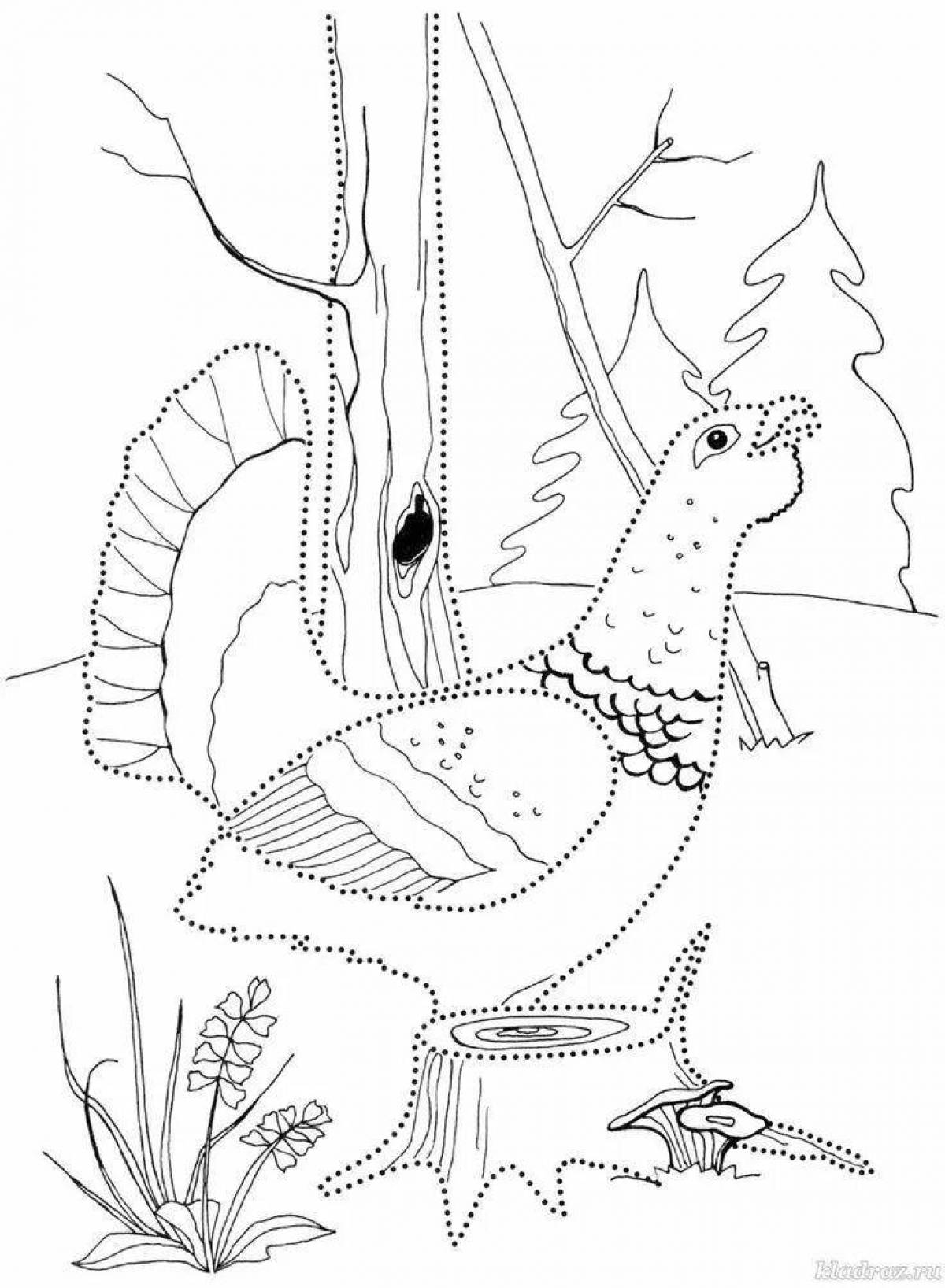 Coloring book cheerful capercaillie for children