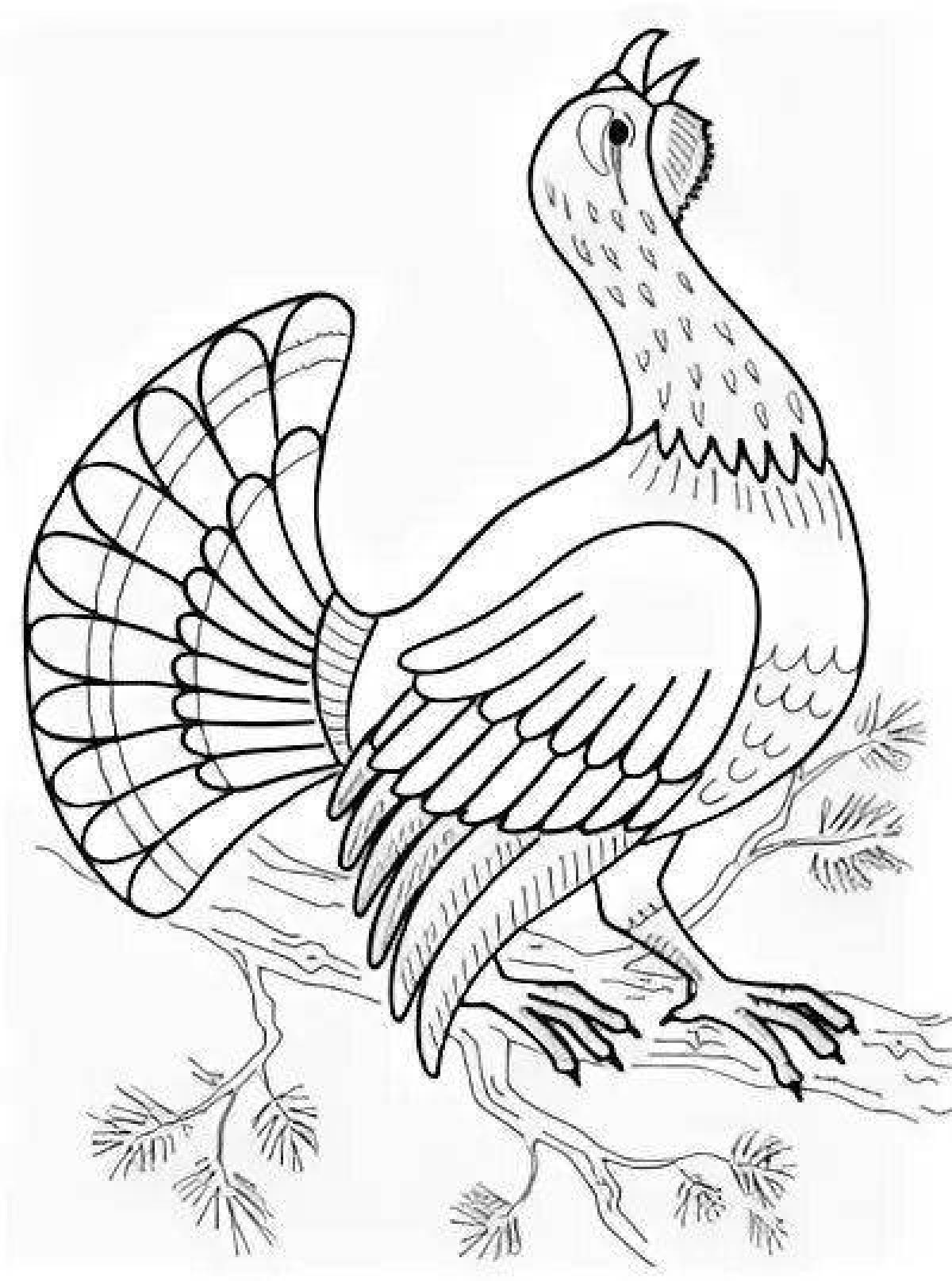 Coloring book happy capercaillie for children