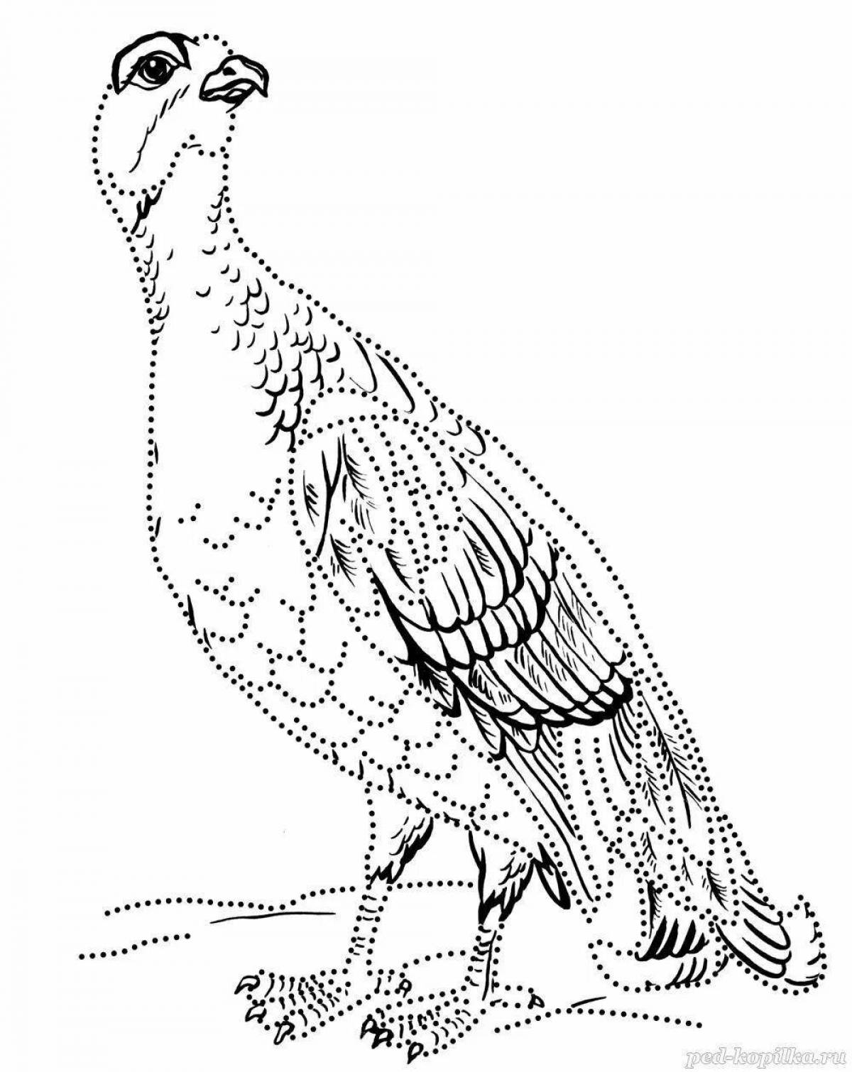 Charming capercaillie coloring book for kids