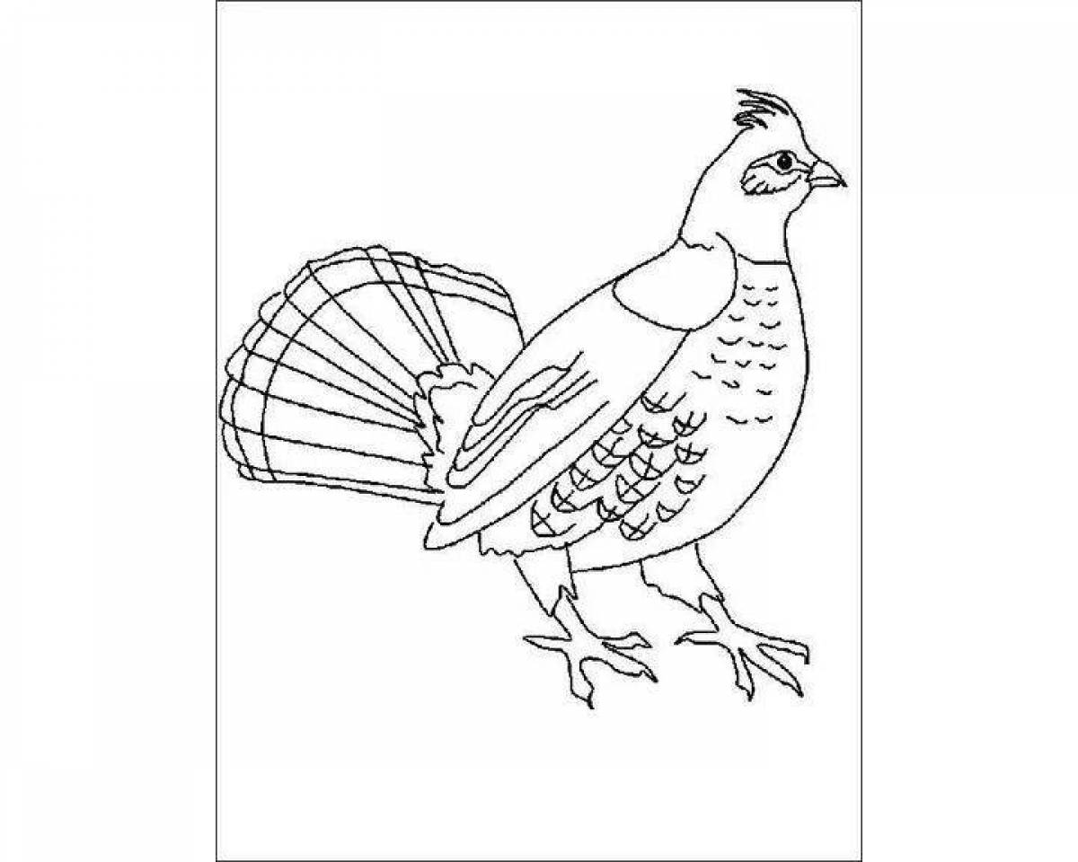 Attractive capercaillie coloring pages for kids