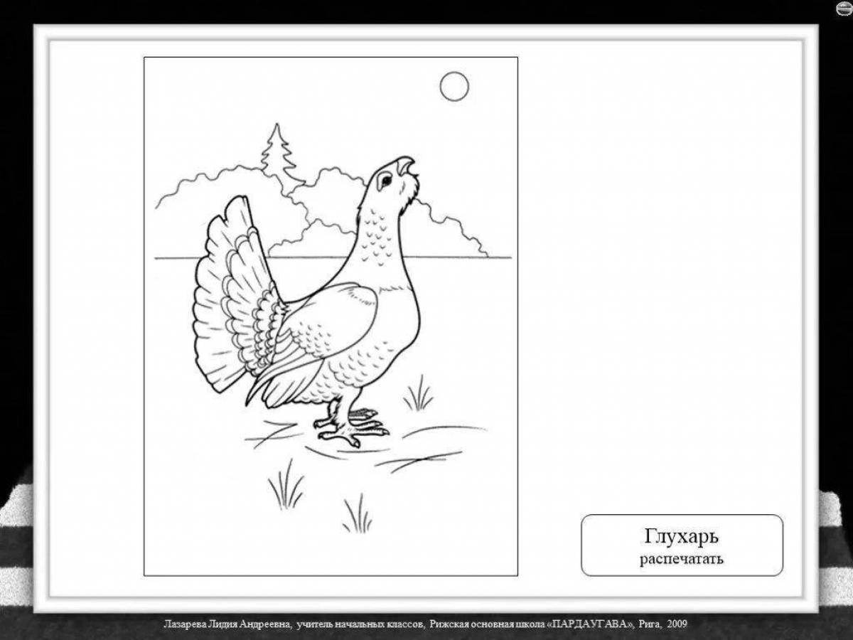 Attractive capercaillie coloring book for kids