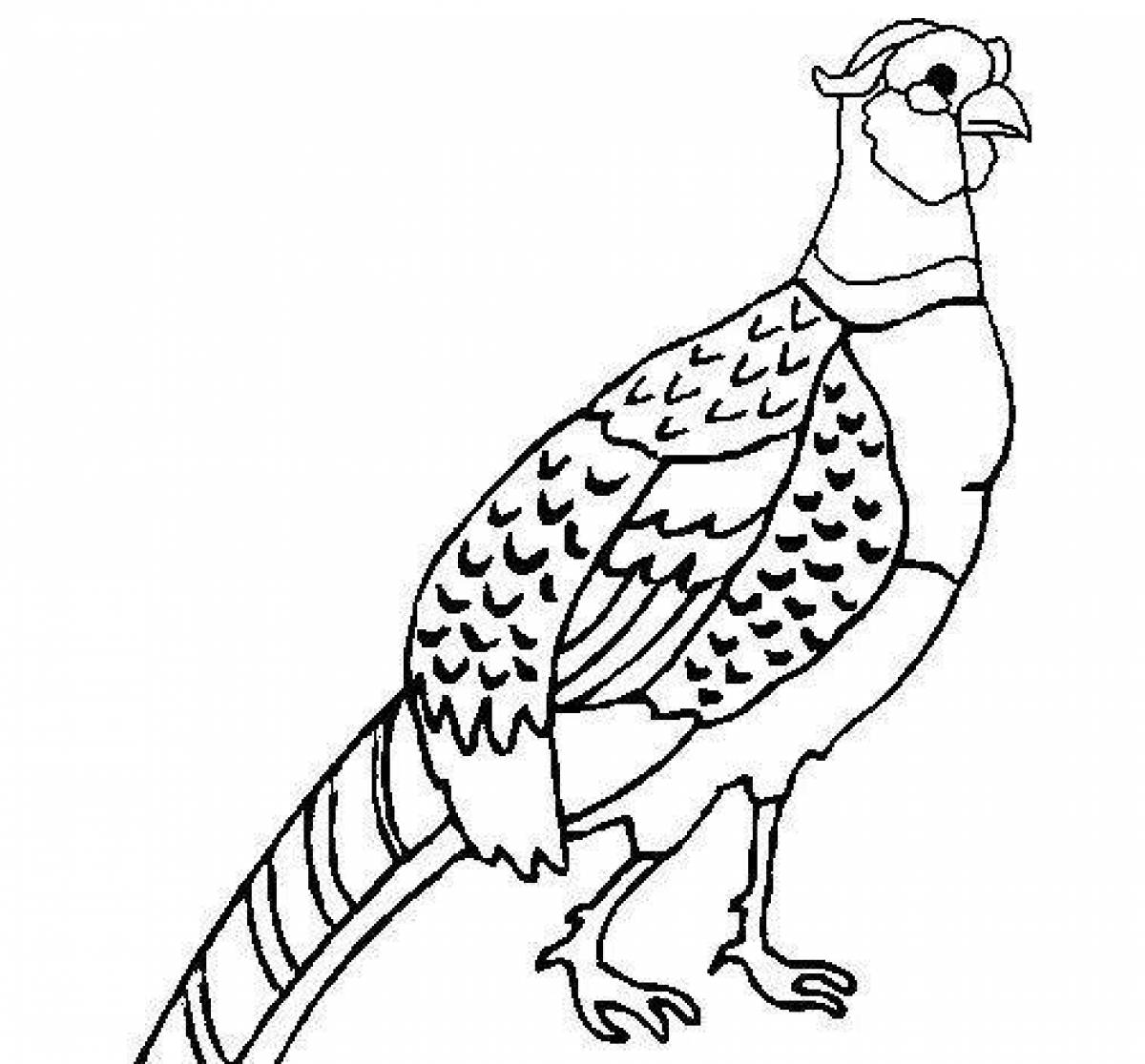 Cute capercaillie coloring book for kids