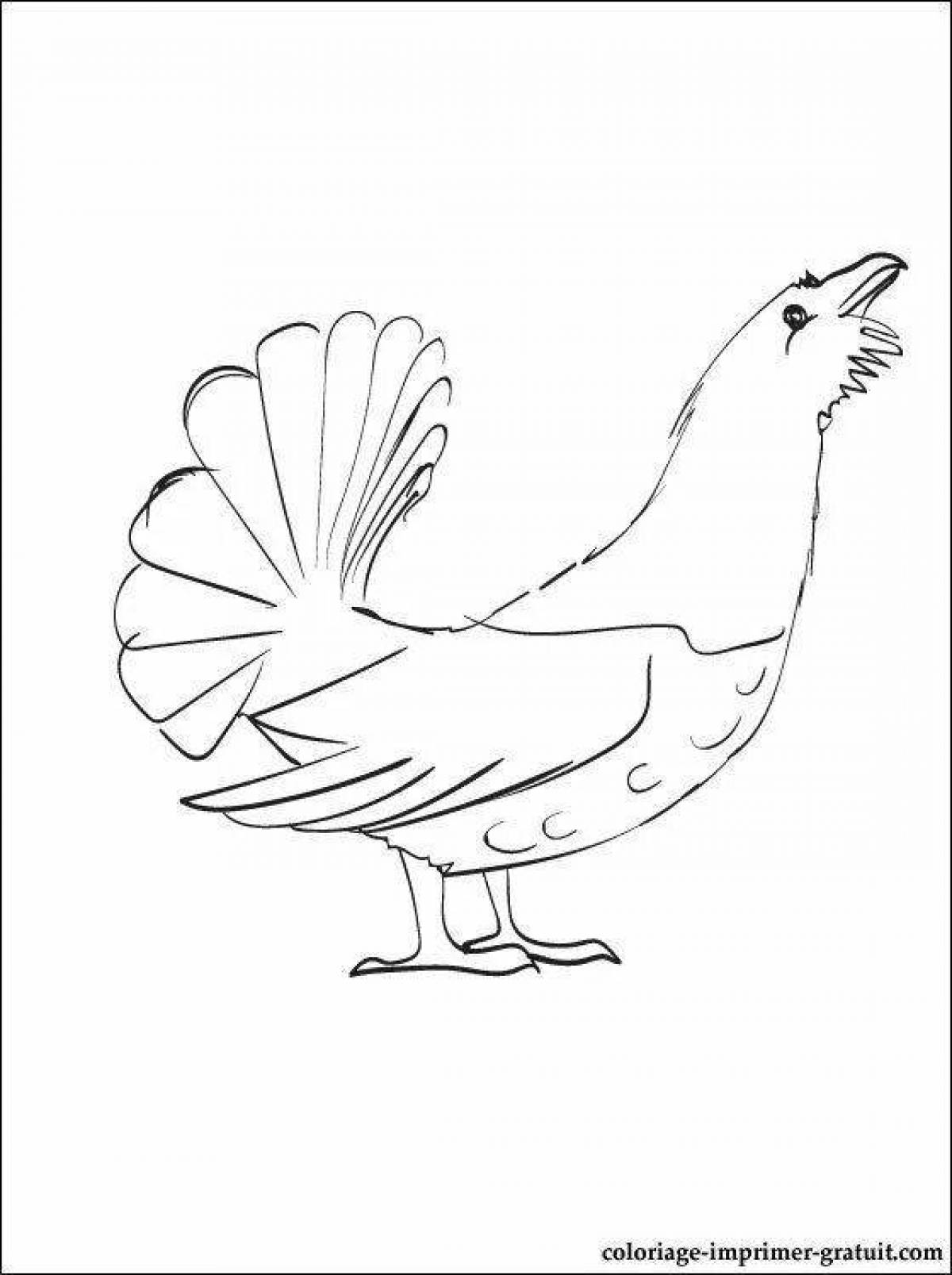 Sweet capercaillie coloring pages for children