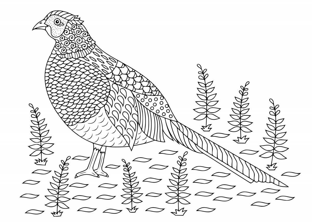 Coloring book magic capercaillie for children