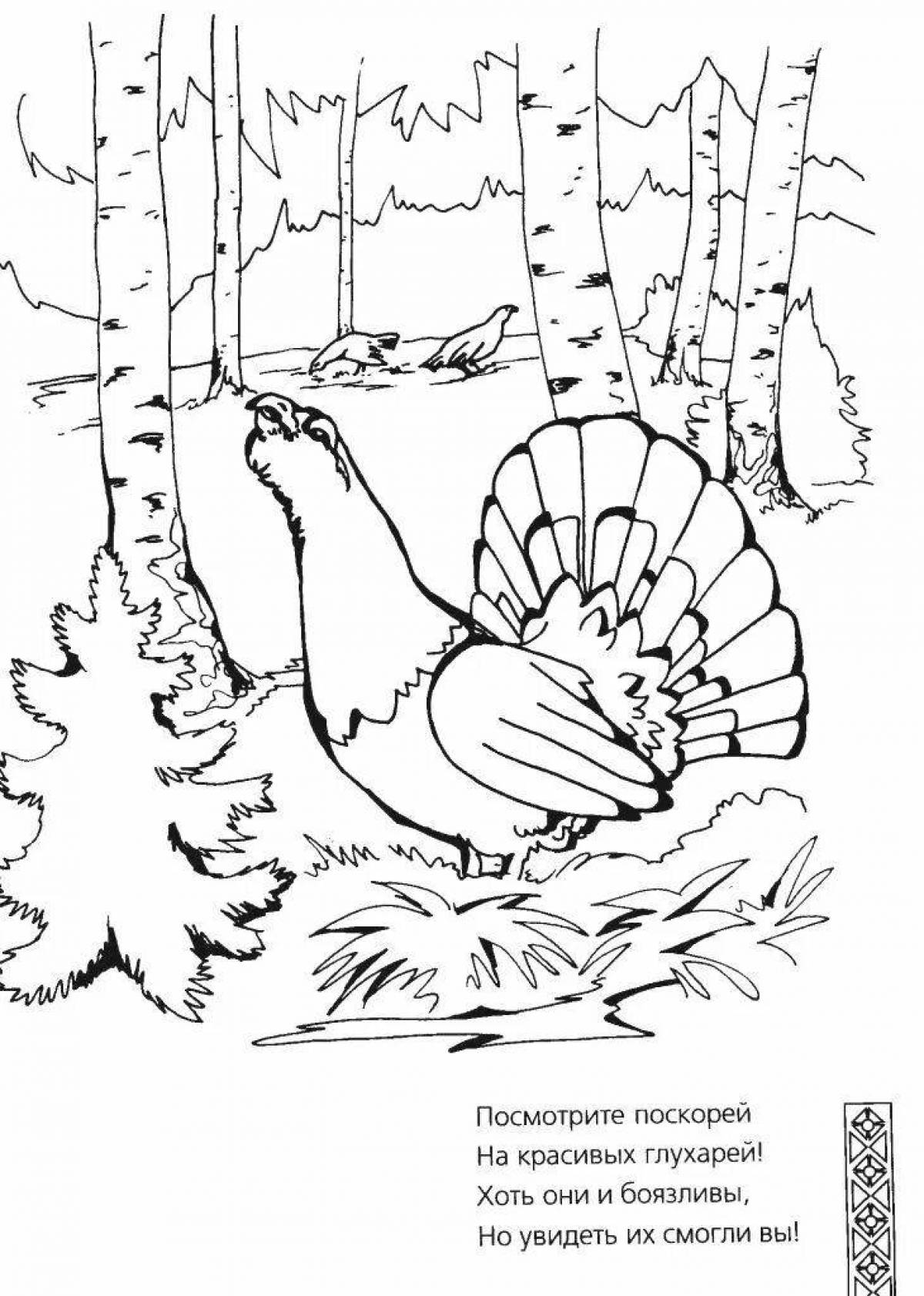 Gorgeous capercaillie coloring pages for kids