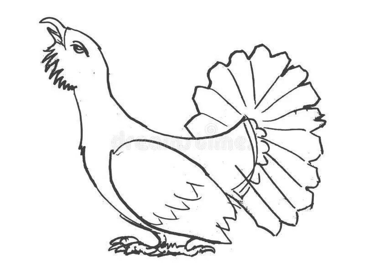 Glorious capercaillie coloring pages for children