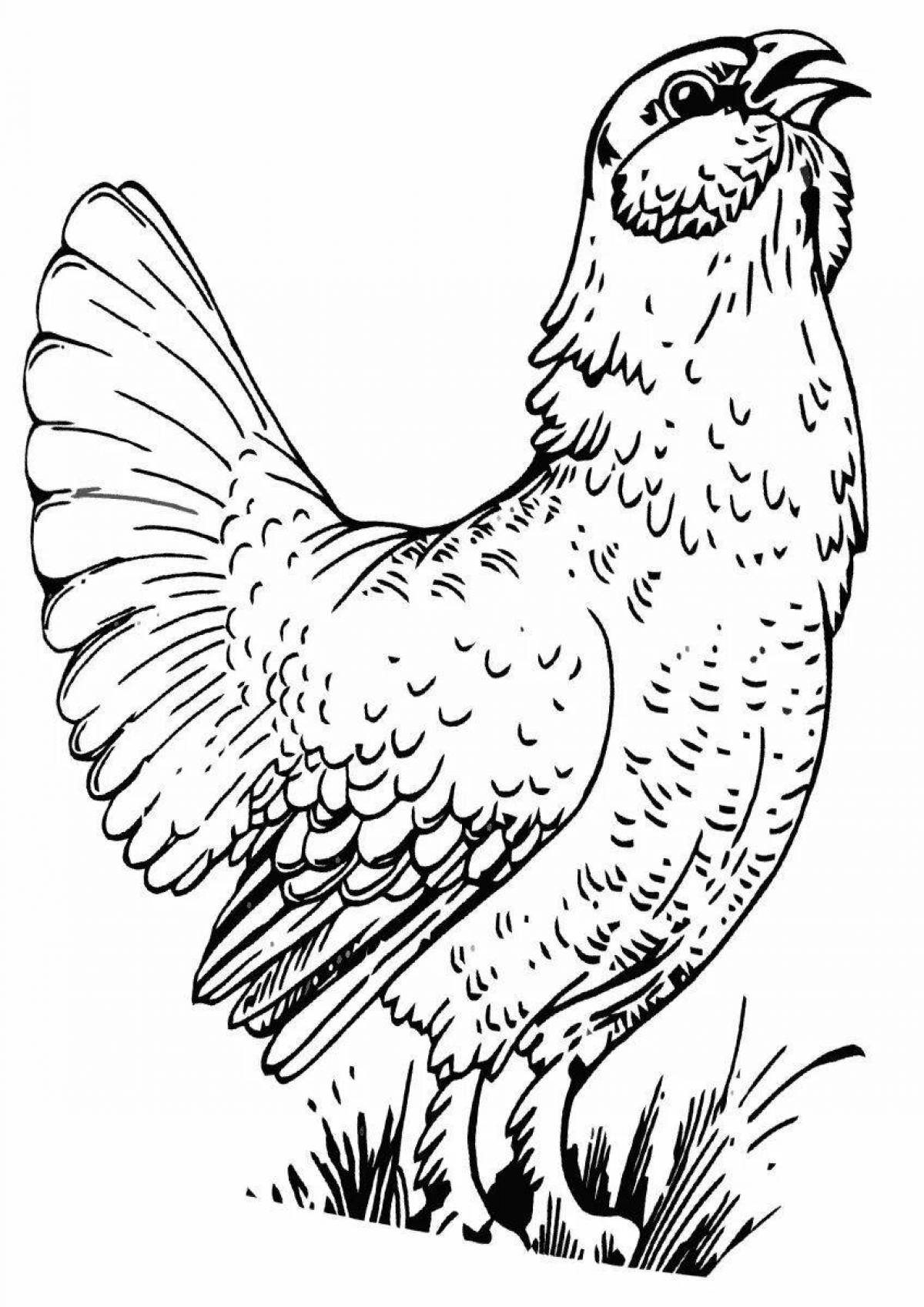 Wonderful capercaillie coloring pages for children