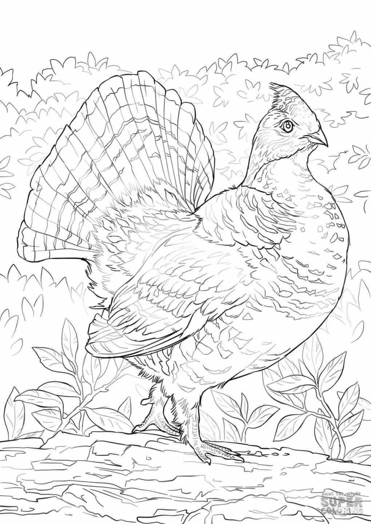 Incredible capercaillie coloring book for kids