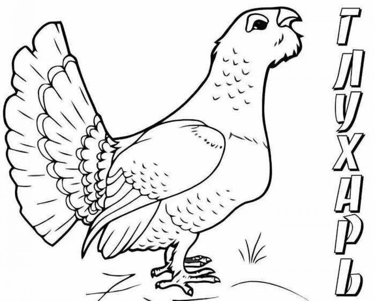 Impressive capercaillie coloring book for kids