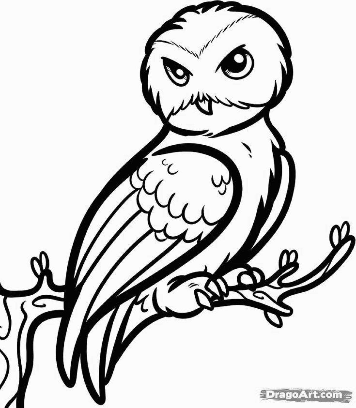 Harry Potter majestic owl coloring page