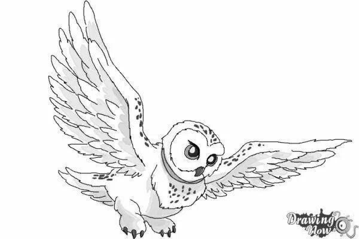 Harry Potter's charming owl coloring page