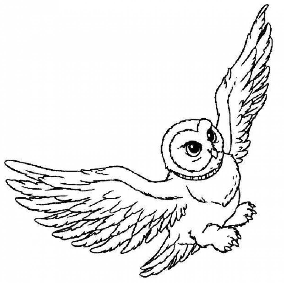Great harry potter owl coloring book