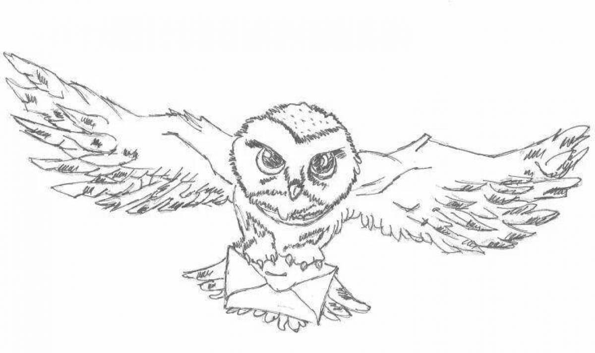 Exquisite harry potter owl coloring page
