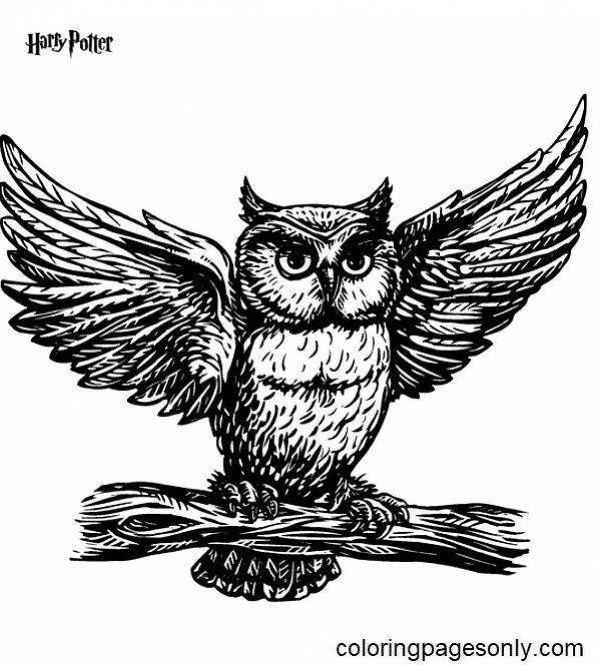 Harry Potter Owl Glitter Coloring Page
