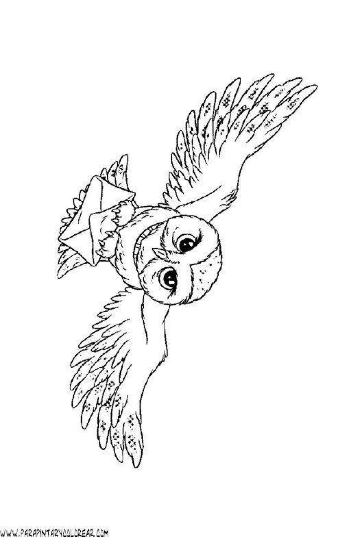 Awesome harry potter owl coloring page