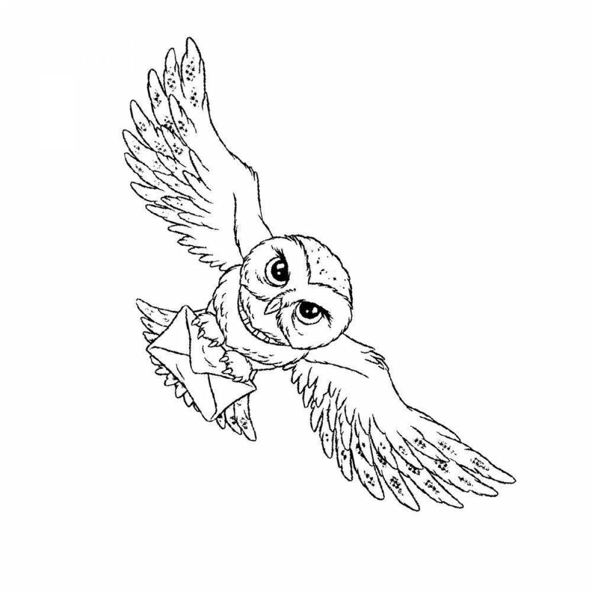 Harry Potter owl coloring book