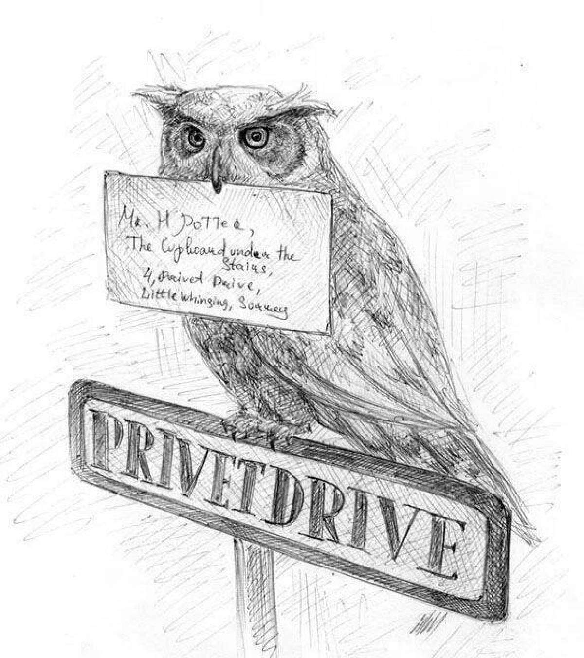 Harry Potter's great owl coloring page