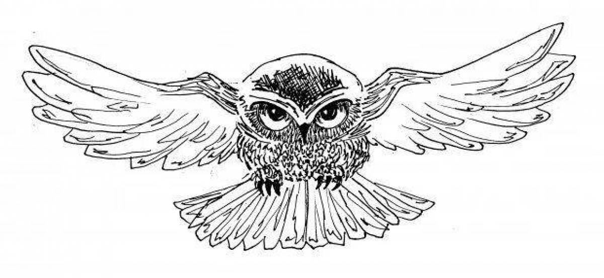 Impressive harry potter owl coloring book