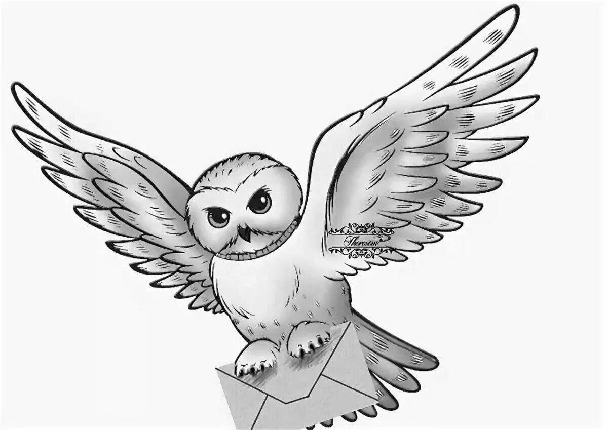 Royal harry potter owl coloring page