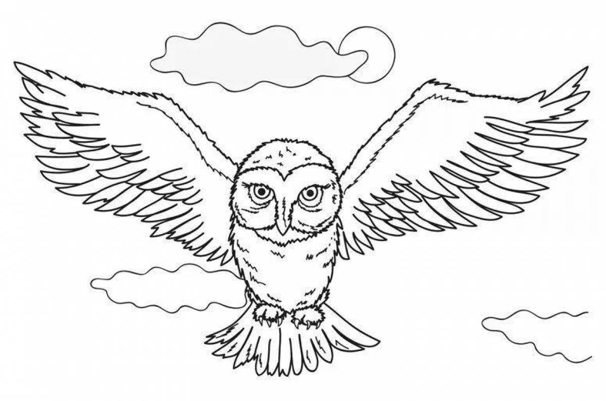 Harry Potter live owl coloring page